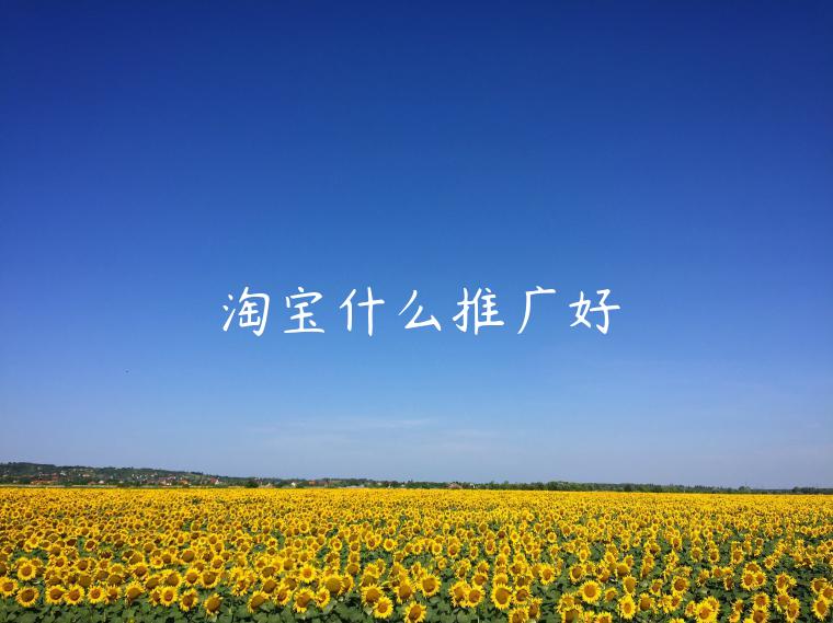 淘寶什么推廣好